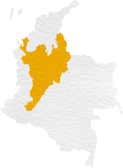 Region Andina