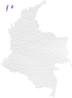 Region Insular