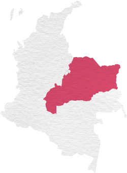 Region Orinoquia