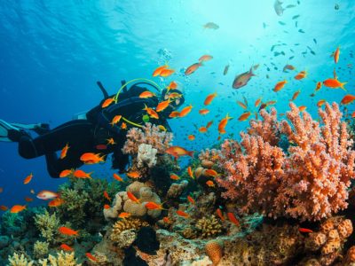 Bucear en San Andrés