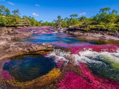 Caño Cristales (Meta)