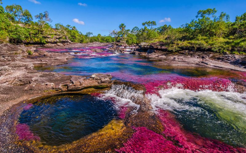 Caño Cristales (Meta)