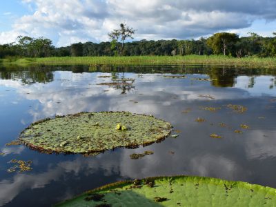 Parque Nacional Natural Amacayacu (Amazonas)